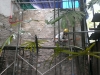 A1 LIME PLASTER
